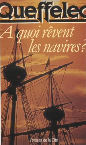 Cover of the book À quoi rêvent les navires by Erwan Bergot