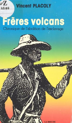 Cover of the book Frères volcans : Chronique de l'abolition de l'esclavage by Albert Algoud