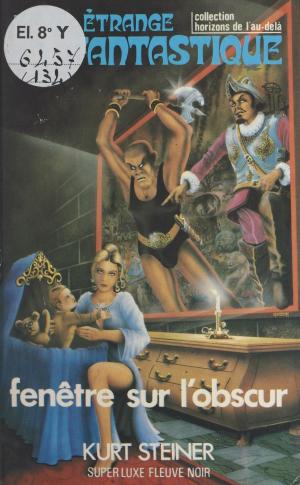 Cover of the book Fenêtre sur l'obscur by Christian Morrisson