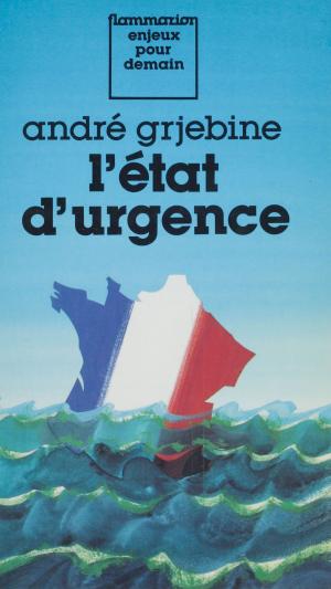 Cover of the book L'État d'urgence by Yves-Marie Clément, François Faucher