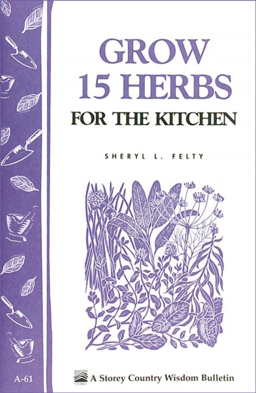 Cover of the book Grow 15 Herbs for the Kitchen by Sheryl L. Felty, Storey Publishing, LLC
