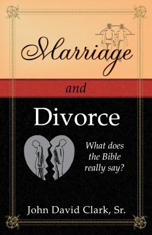 Cover of Marriage & Divorce: What does the Bible really say?