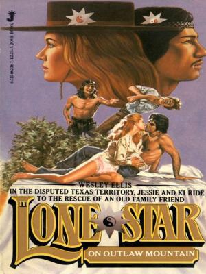 Book cover of Lone Star 11