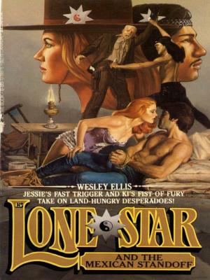 bigCover of the book Lone Star 15 by 