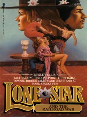 Cover of the book Lone Star 14 by Harry S. Stout