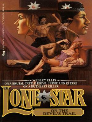 Book cover of Lone Star 20