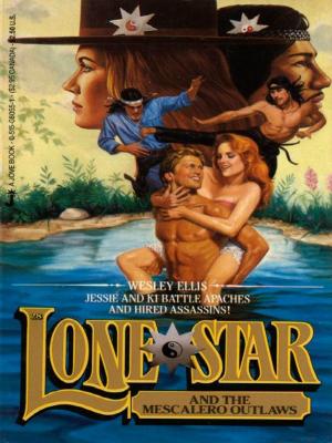 Book cover of Lone Star 28