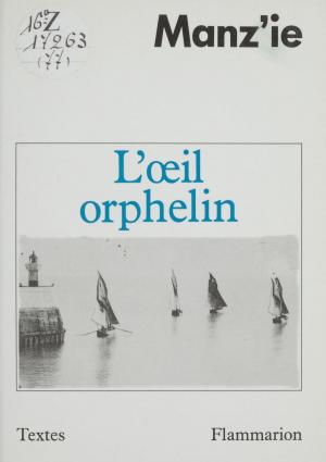 Cover of the book L'Œil orphelin by Jean Coué, François Faucher