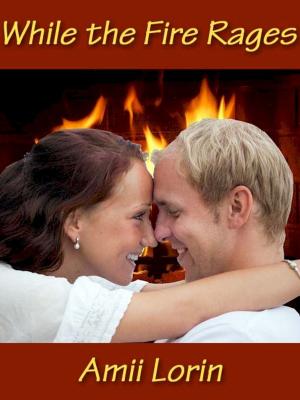 Cover of the book While the Fire Rages by Emily Hendrickson