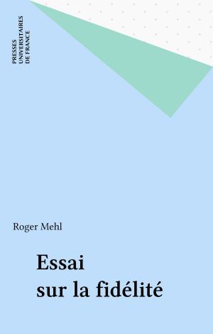 Cover of the book Essai sur la fidélité by Bernard Brigouleix