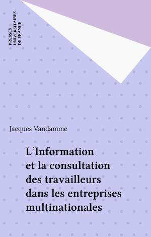 Cover of the book L'Information et la consultation des travailleurs dans les entreprises multinationales by Jean Brun