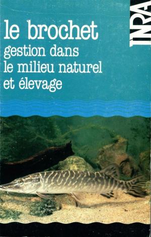 Cover of the book Le brochet by Pierre Morlon