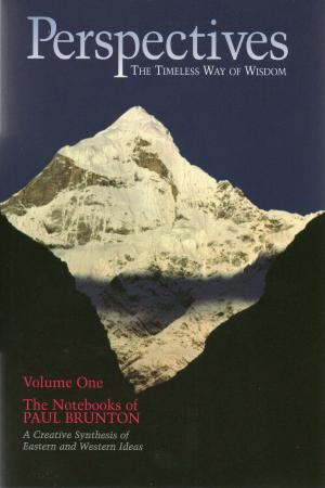 Cover of the book Perspectives by Catherine Thom