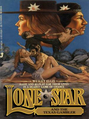 Book cover of Lone Star 22