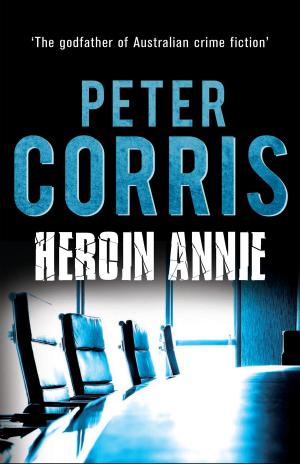 Cover of the book Heroin Annie by Christine Halse