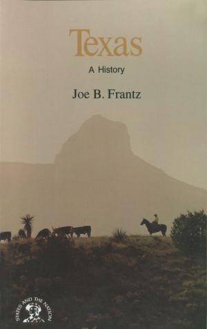 bigCover of the book Texas: A History by 