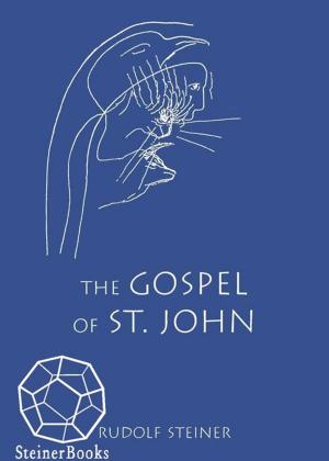 Cover of the book The Gospel of St. John by Rudolf Steiner