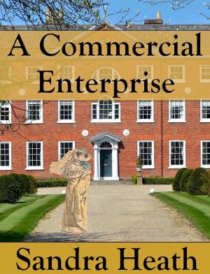 Book cover of A Commercial Enterprise