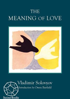Cover of the book The Meaning of Love by Peter Selg