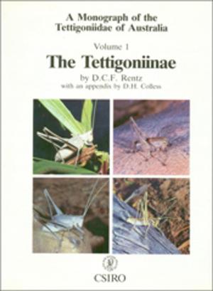 Cover of the book Tettigoniidae of Australia Volume 1 by Stefan Hajkowicz