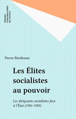 Cover of the book Les Élites socialistes au pouvoir by Gérard Desseigne