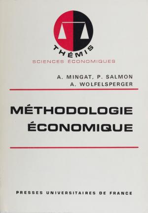Cover of the book Méthodologie économique by Jean-François Pépin, Florence Braunstein