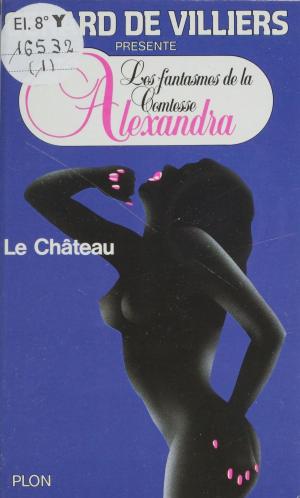 Cover of the book Le château by Patrick Mosconi