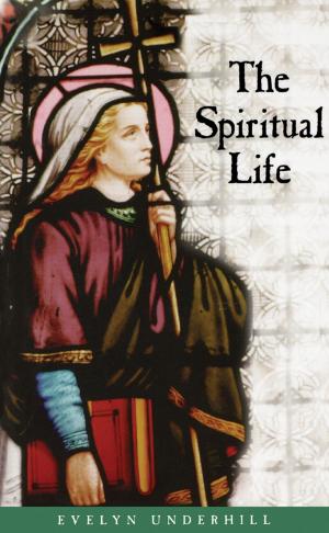 Cover of the book The Spiritual Life by Danielle DuBois Morris, Kristen N. Alday