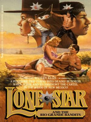 Book cover of Lone Star 34