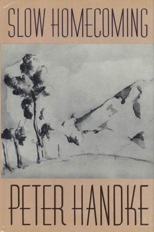 Cover of the book Slow Homecoming by Peter Handke, Farrar, Straus and Giroux