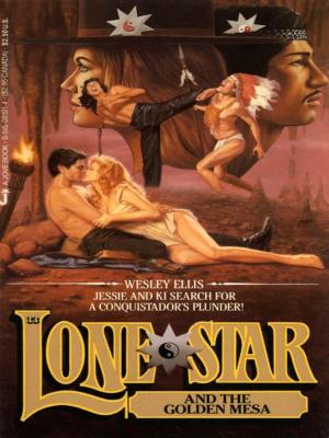Book cover of Lone Star 33
