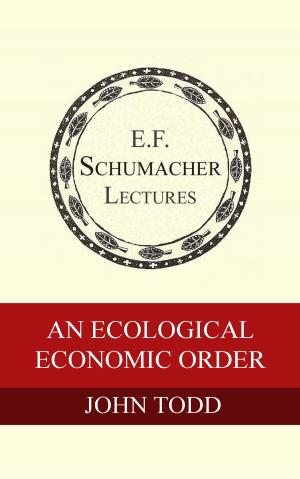 Cover of the book An Ecological Economic Order by Kirkpatrick Sale, Hildegarde Hannum
