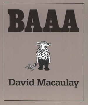 Cover of the book Baaa by Alison McGhee