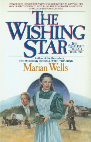 Cover of the book The Wishing Star (Starlight Trilogy Book #1) by Susannah Clements