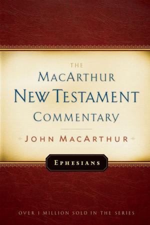 Cover of the book Ephesians MacArthur New Testament Commentary by Ken Wytsma, A. J. Swoboda