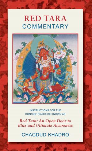 Cover of Red Tara Commentary