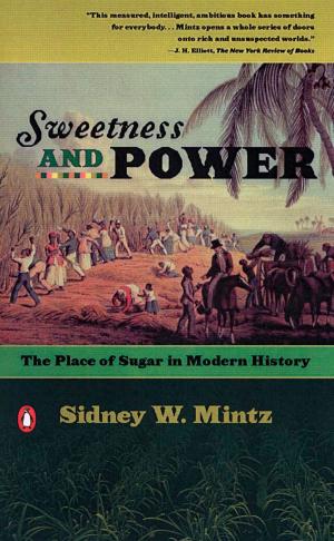 bigCover of the book Sweetness and Power by 