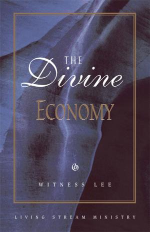 Cover of the book The Divine Economy by Chuck Giacinto, Bryce Conlan