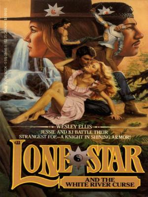 Book cover of Lone Star 41