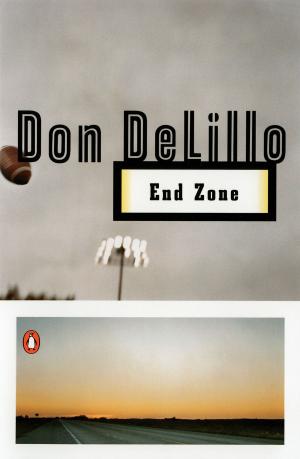 Cover of the book End Zone by Miriam Elia, Ezra Elia