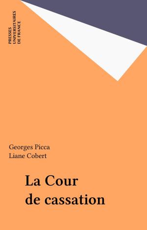 Cover of the book La Cour de cassation by Parti socialiste, Pierre Joxe