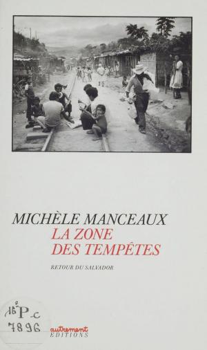 Cover of the book La Zone des tempêtes by Nicolas Baverez