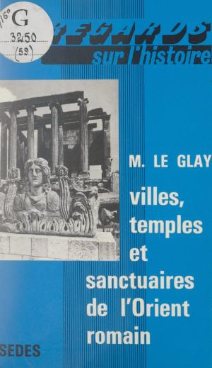 Cover of the book Villes, temples et sanctuaires de l'Orient romain by Laurent Valdiguié