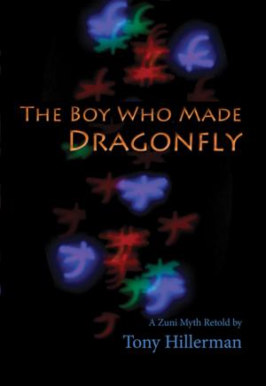 Cover of the book The Boy Who Made Dragonfly by Steven D. Hsi