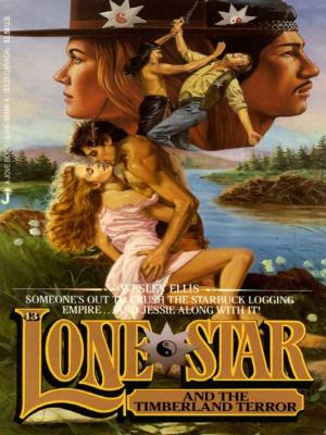 Cover of the book Lone Star 43 by Ann Wertz Garvin