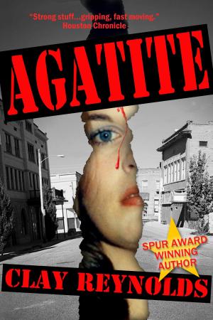 Cover of the book Agatite by Robert Silverberg