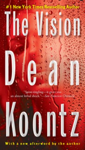 Cover of the book The Vision by Sarah Maizes