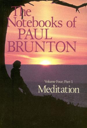 Cover of the book Meditation by William Douglas Horden