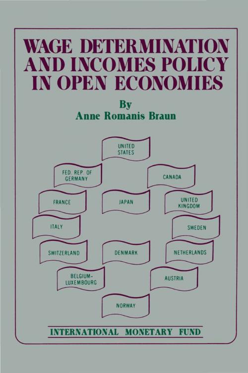 Cover of the book Wage Determination and Incomes Policy in Open Economies by Anne  Ms. Braun, INTERNATIONAL MONETARY FUND