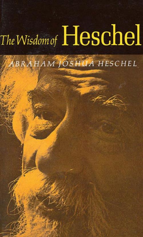 Cover of the book The Wisdom of Heschel by Abraham Joshua Heschel, Farrar, Straus and Giroux